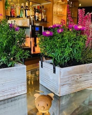 Weinhotel Eltvinum エルトフィレ エクステリア 写真