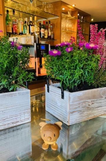 Weinhotel Eltvinum エルトフィレ エクステリア 写真
